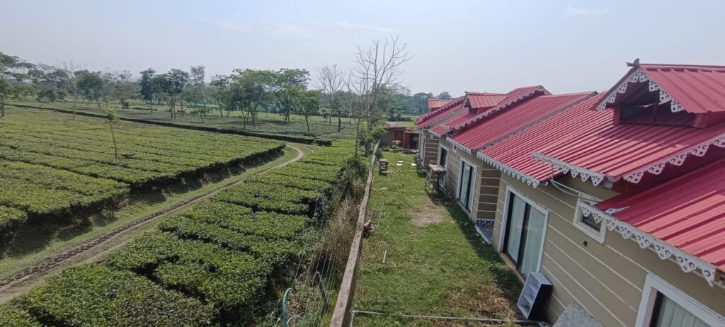 Goldee Wildlife Retreat Lataguri
